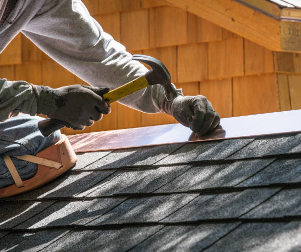 Best Roof Gutter Cleaning  in Brawley, CA